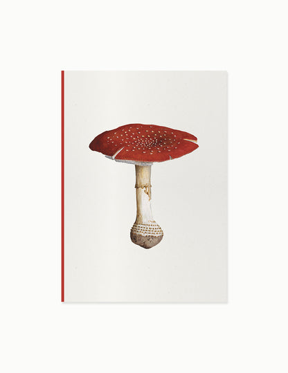 Fungi Journal Collection: Amanita Muscaria