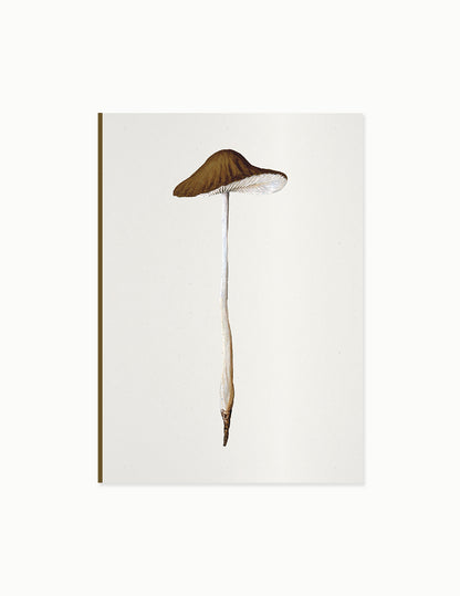 Fungi Journal Collection: Agaricus Radicatus