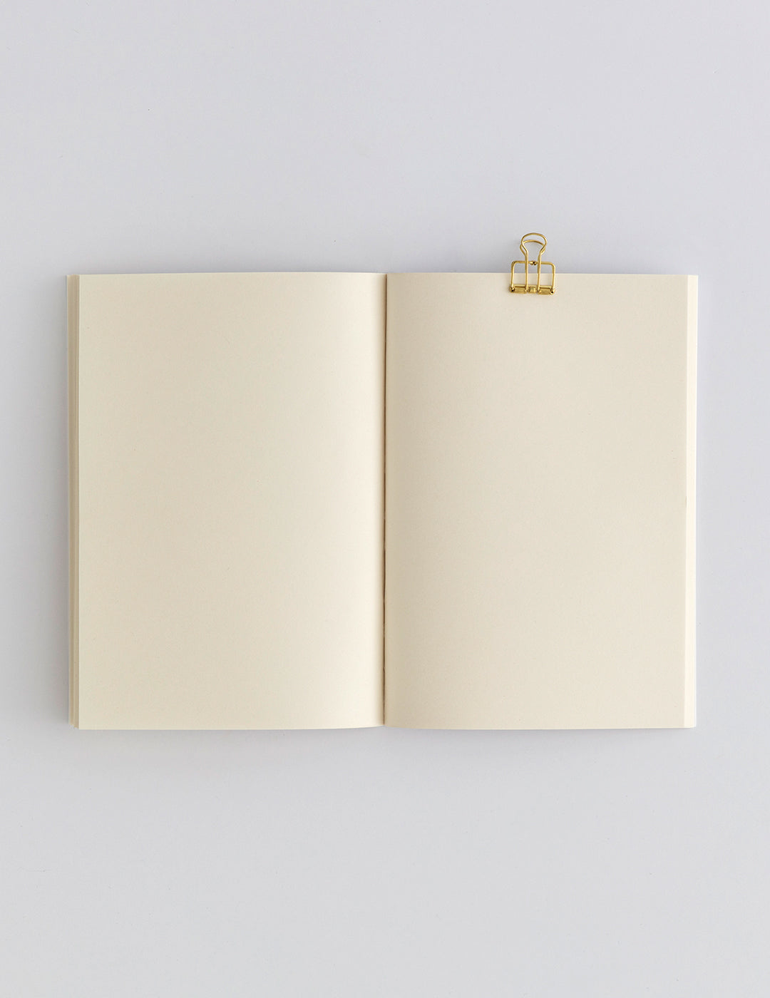 Fungi Journal Collection: Amanita Muscaria