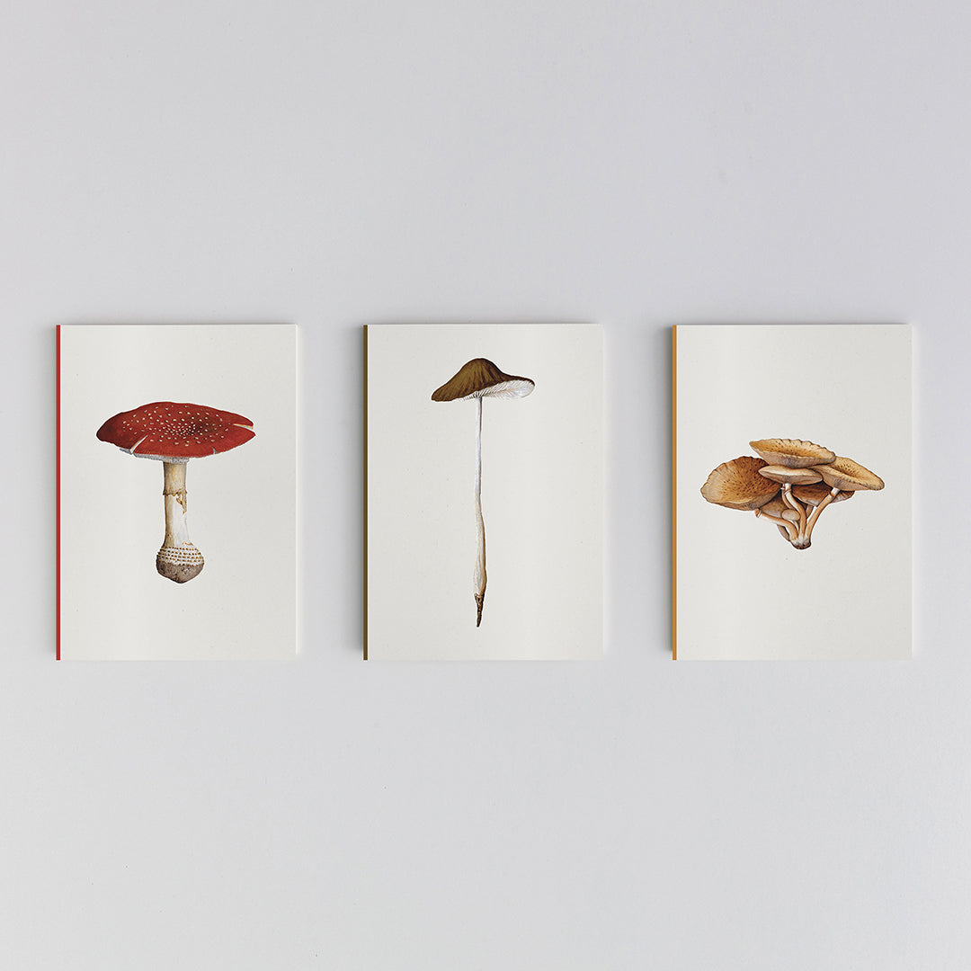 Fungi Journal Collection: Set of 3 notebooks
