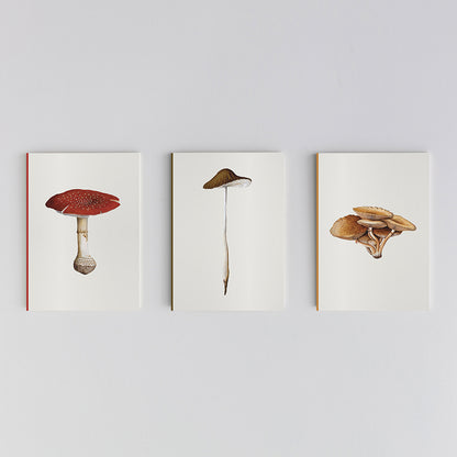 Fungi Journal Collection: Set of 3 notebooks